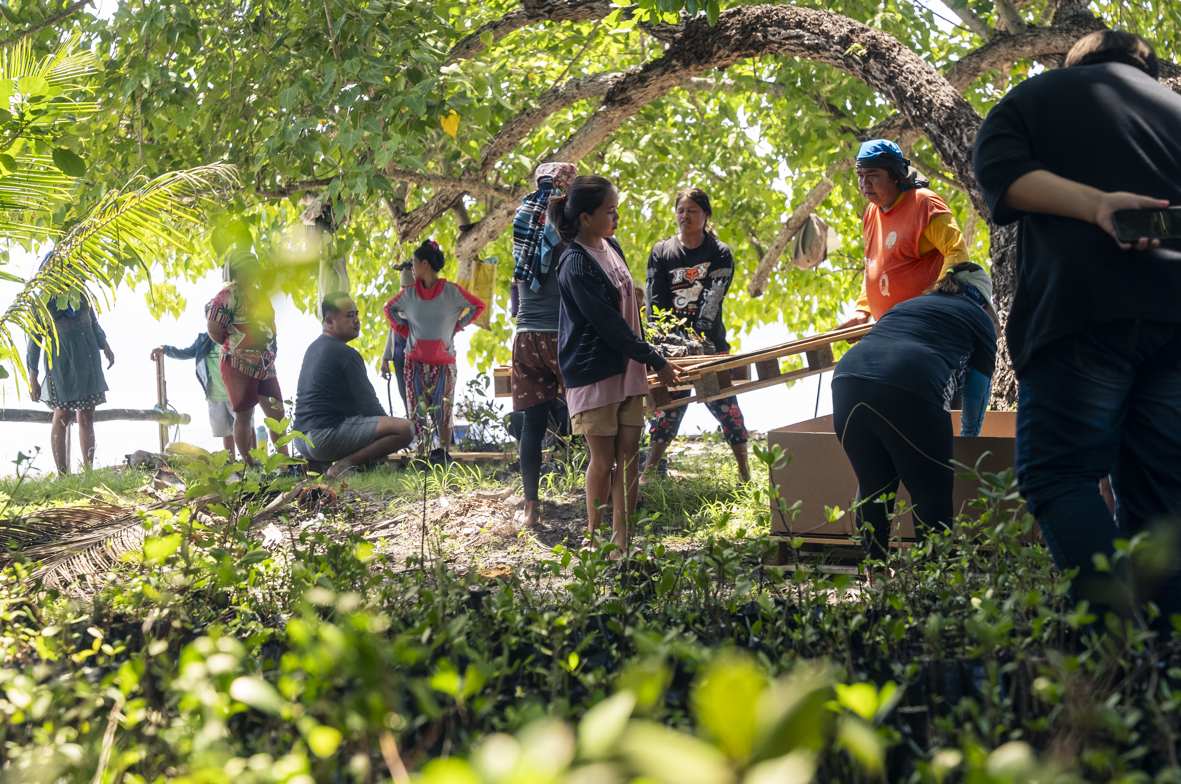 The community planting in the Malizia Mangrove Park