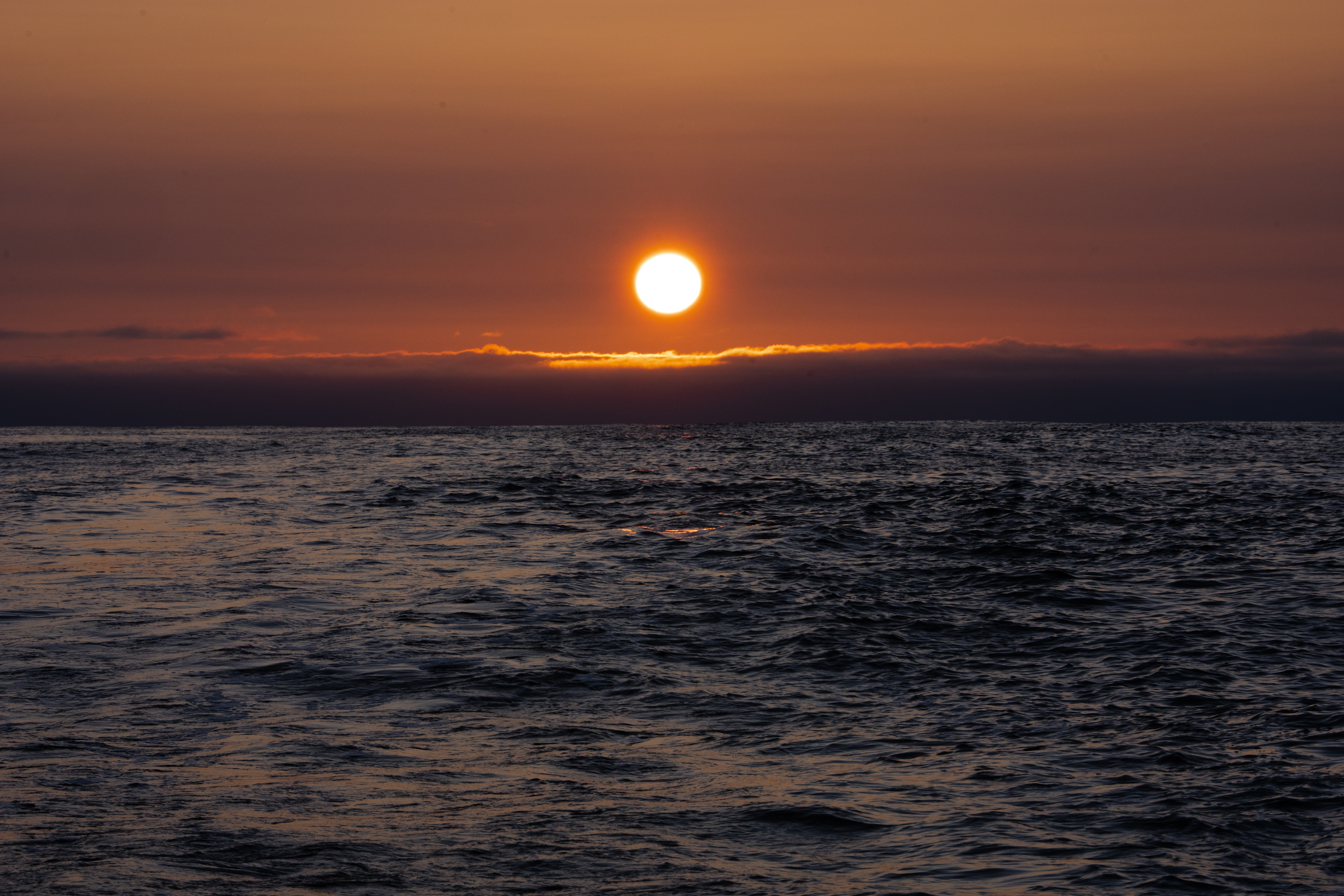 Sunrise onboard Malizia 4 during the delivery to New York