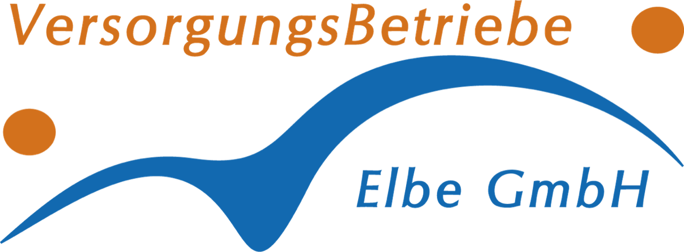 Logo: VS Elbe