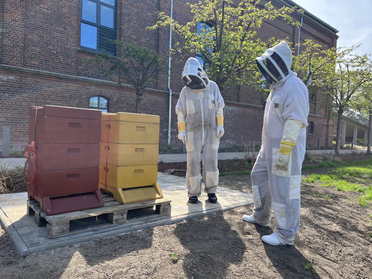 Zwei Personen in Imker Anzügen schauen auf zwei Bienenkästen