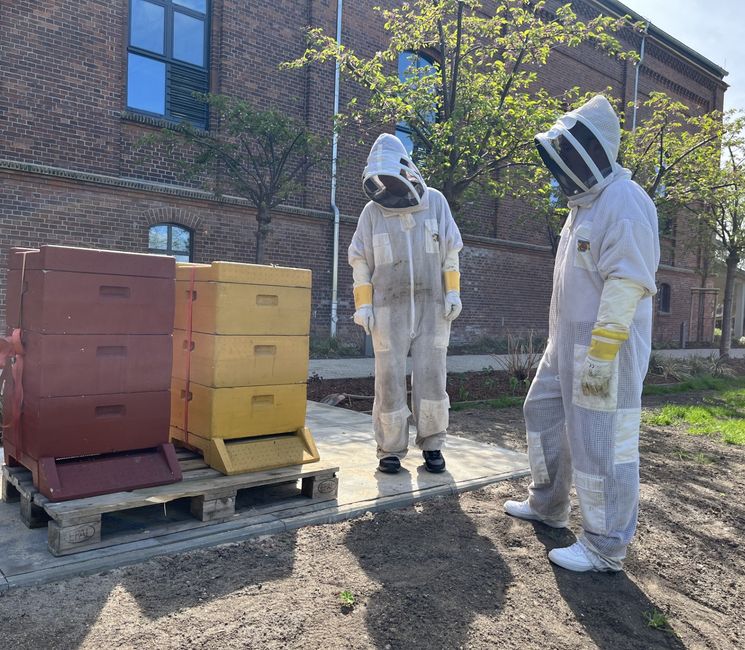 Zwei Personen in Imker Anzügen schauen auf zwei Bienenkästen