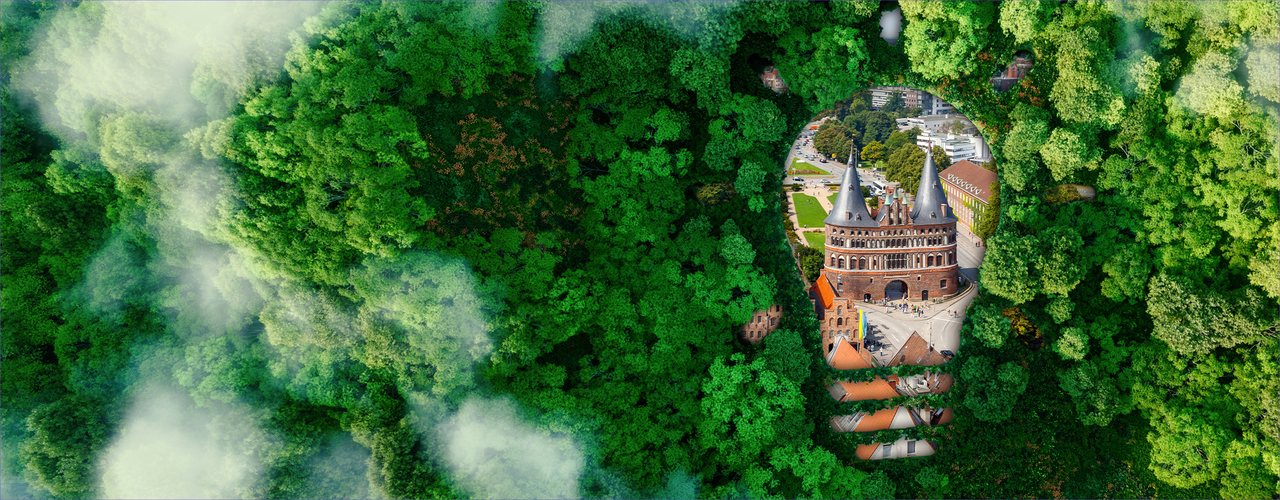 Header Einladung Impuls Wärmewende