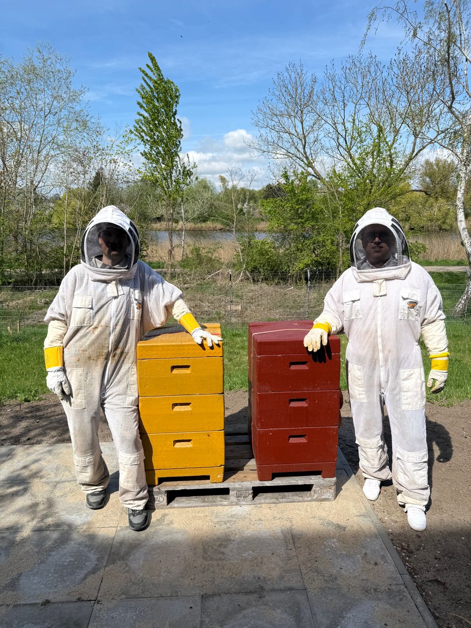 Zwei Personen in Imker Anzügen stehen neben zwei Bienenkästen