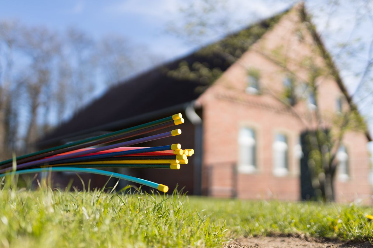Colorful fiber optic cables on grass with a blurred brick house in the background under a clear blue sky.