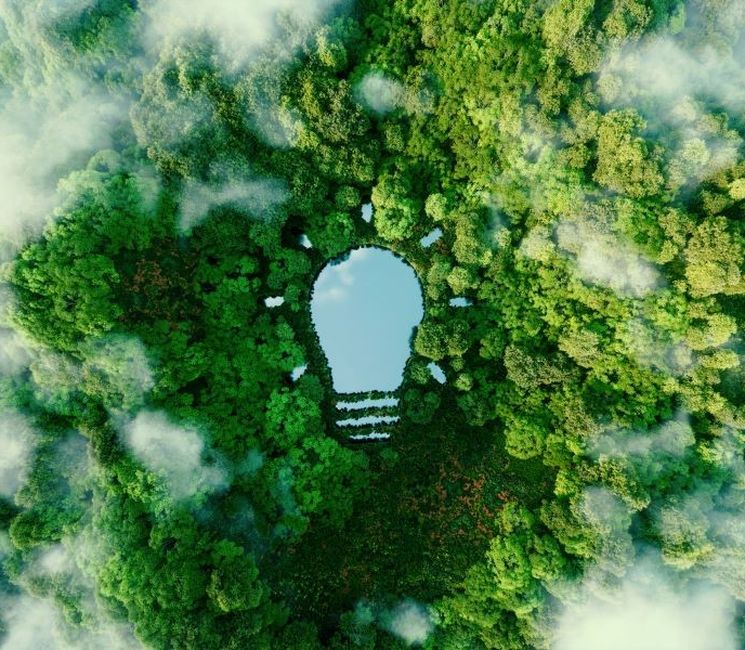 Die Zukunftskonferenz - Nachhaltigkeit unterm Brennglas