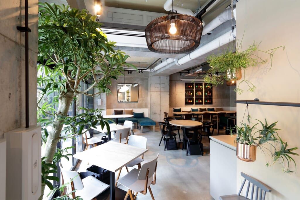 Modern cafe interior with wooden tables, chairs, and hanging plants. Large windows, industrial lighting, and a cozy seating area with cushions.