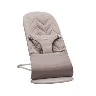 Baby bjorn mesh vs cotton bouncer online