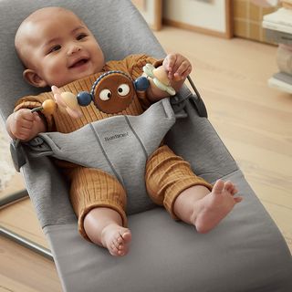 Babybjorn bouncer cheap soft toy