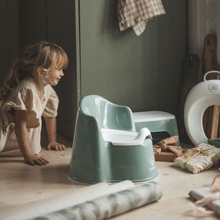 How to start potty training? 