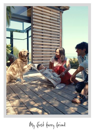 A family with a baby on a deck, smiling at a golden retriever offering its paw. The scene is bright and outdoorsy.