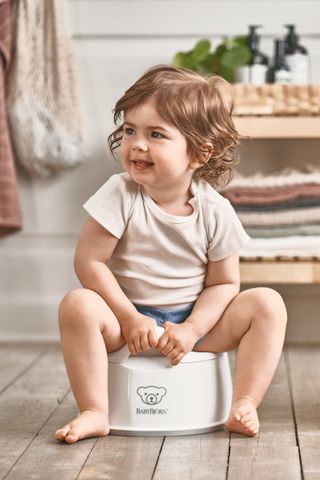 Baby bjorn hot sale potty red