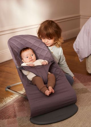 BabyBjörn Bouncer Bliss Dark Purple Bouncer Guide