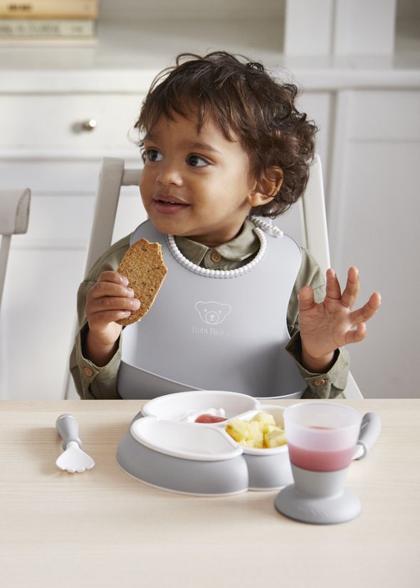 BabyBjörn Baby Bib 2-pack Gray Powder Green