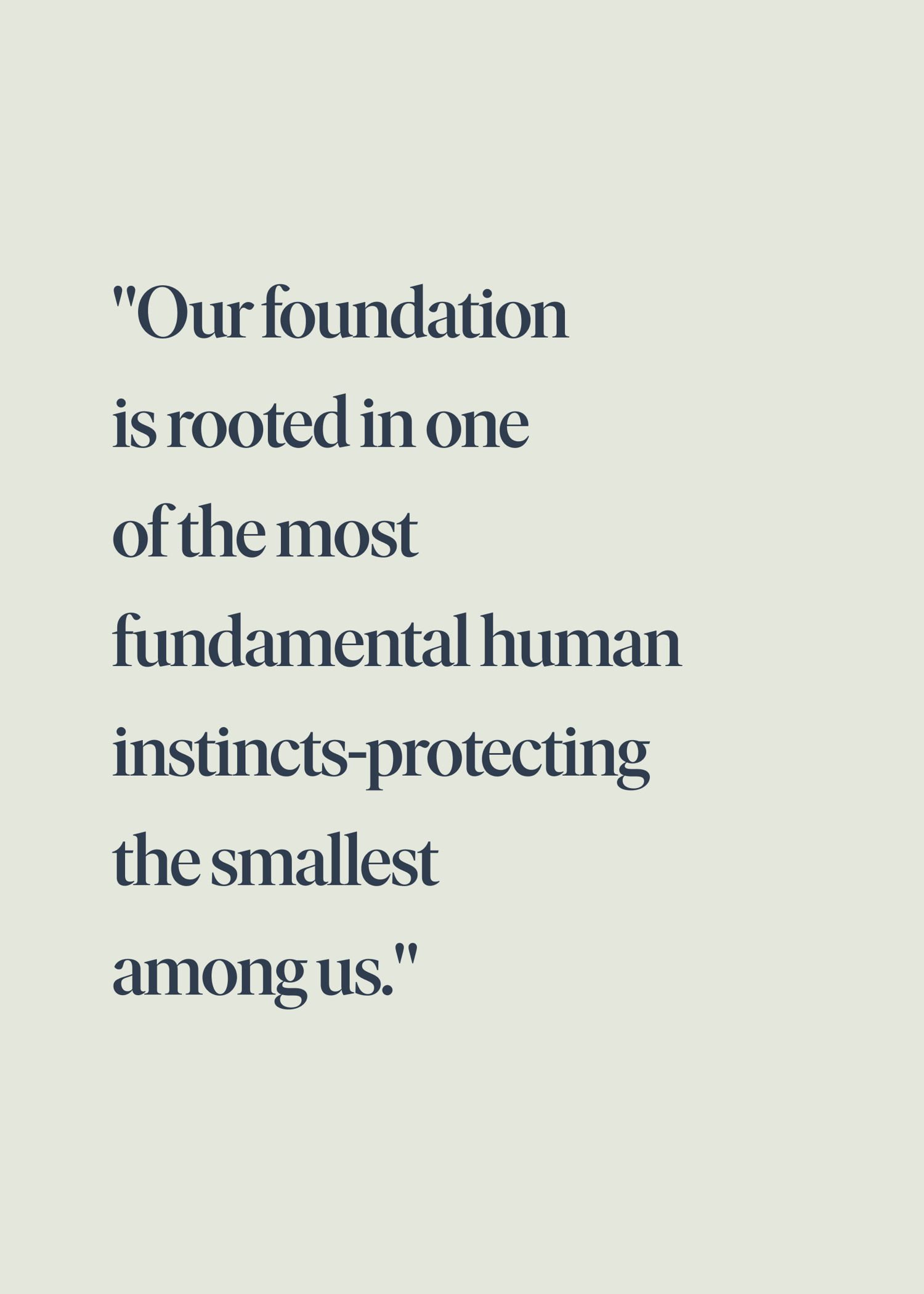 Quote on a light background: "Our foundation is rooted in one of the most fundamental human instincts—protecting the smallest among us."