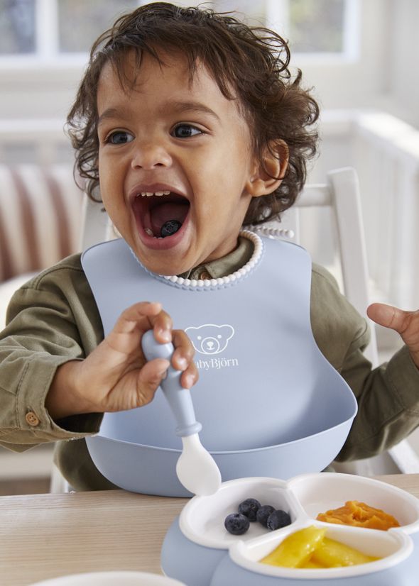 Mealtime set with divided plate, baby cutlery and a bib with spill pocket - BabyBjörn