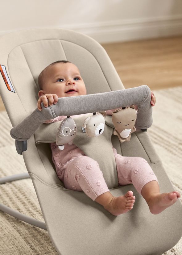 Bouncer Begin and Soft Friends toy bar from BabyBjörn
