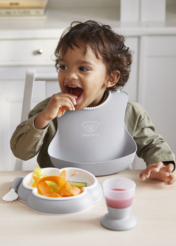 Baby Dinner Set 5 pcs Gray BabyBjörn