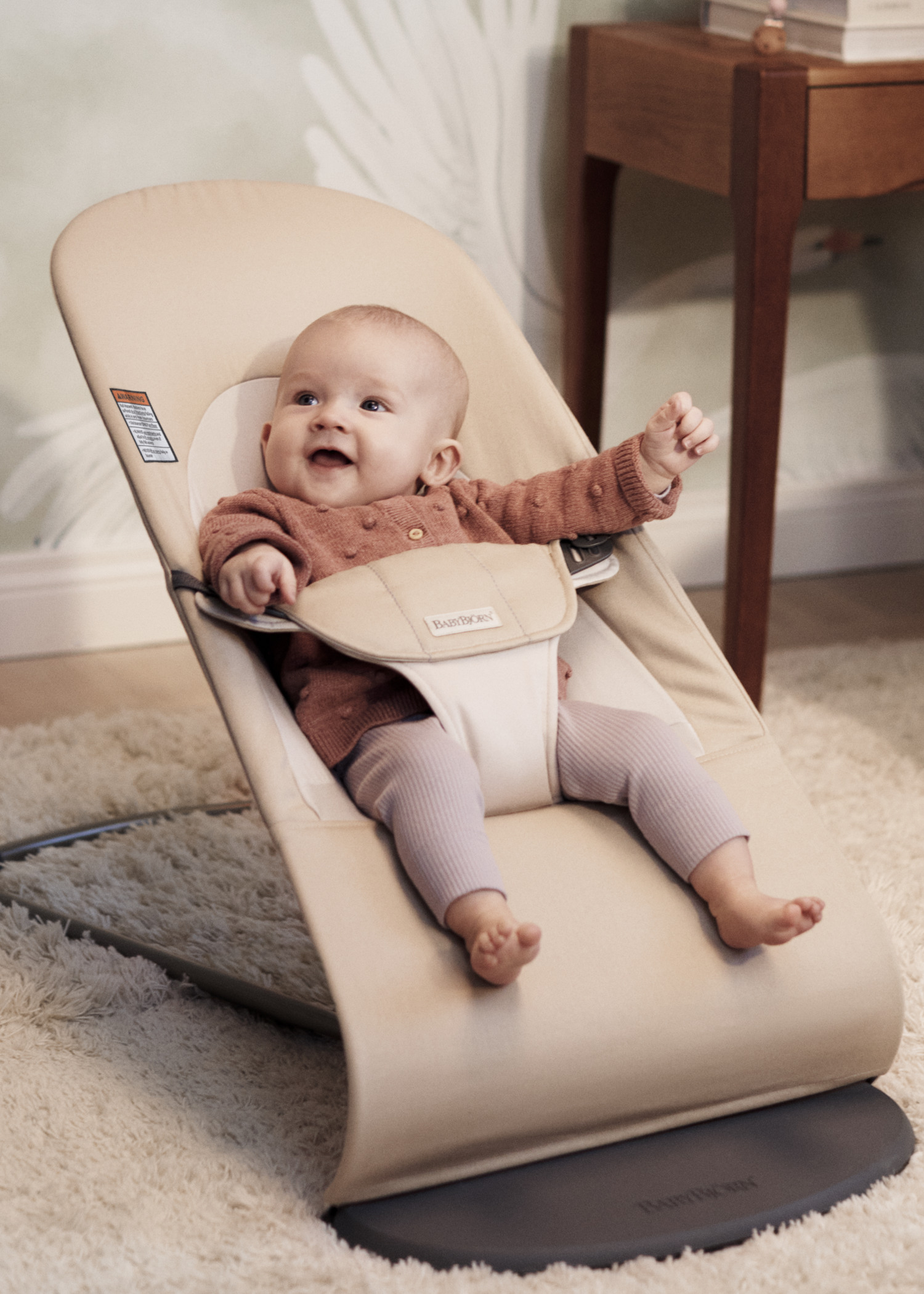 ベビーチェア　Babybjorn Ergonomic Bouncer Balance Soft | BabyBjörn