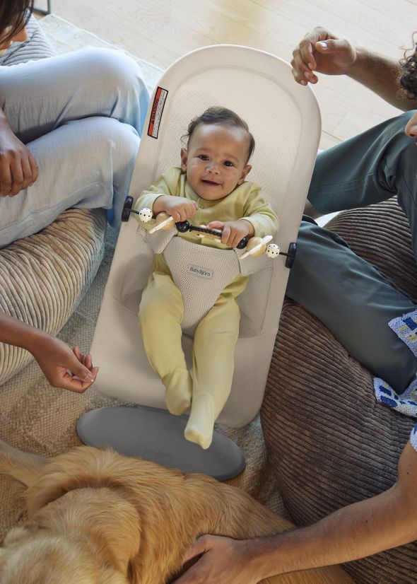 Baby in a bouncer with a toy bar, surrounded by adults and a golden retriever on a cozy, carpeted floor.