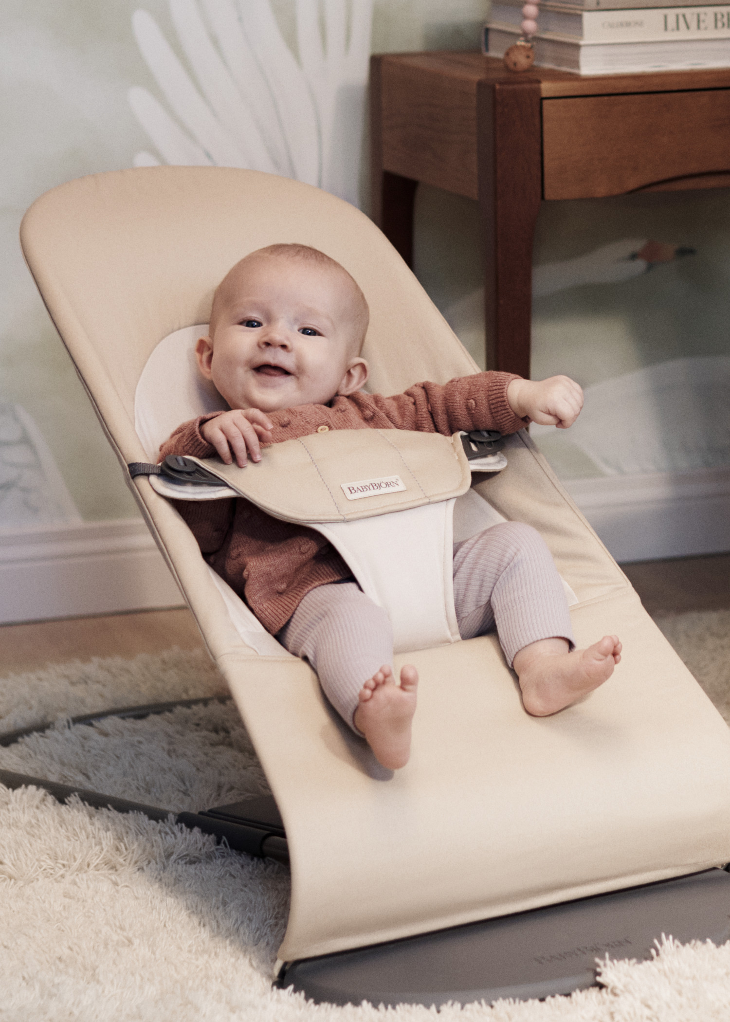 005226-bouncer-balance-soft-