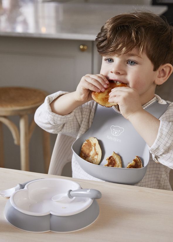 Baby Dinner Set 5 pcs Gray BabyBjörn