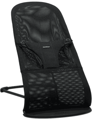 Babybjorn store mesh bouncer