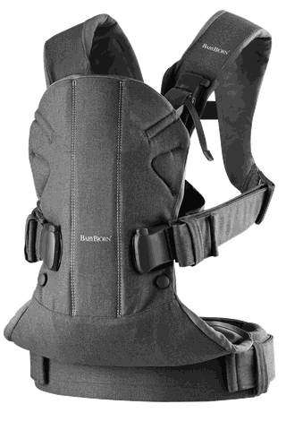 Baby Carrier One with good head support