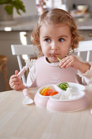 Mealtime Set 4 Set Powder Pink BabyBjörn