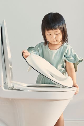 Baby bjorn potty seat best sale