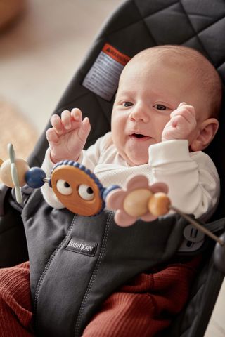 Babybjorn clearance wooden toy