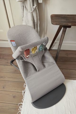 Babybjorn soft shop toy for bouncer