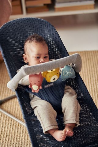 Baby bjorn bouncer store toy attachment