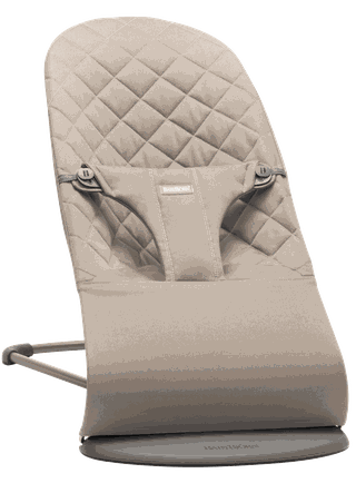 Baby bjorn baby seat online