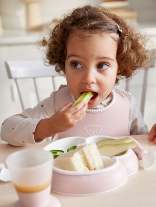 Feeding essentials for 1-2 year olds - Our favorite plates, sippy cups,  bibs and more! 