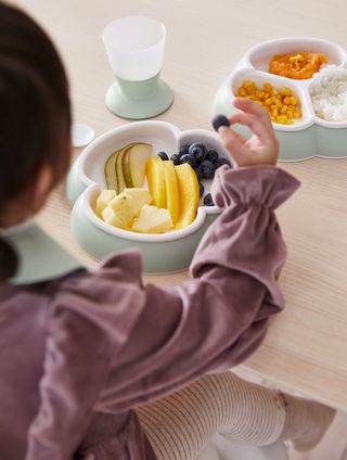 Baby Plate Set 2 pack Powder Green BabyBjörn