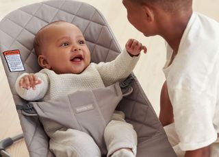 BabyBjörn Bouncer Bliss Gray Bouncer Guide US