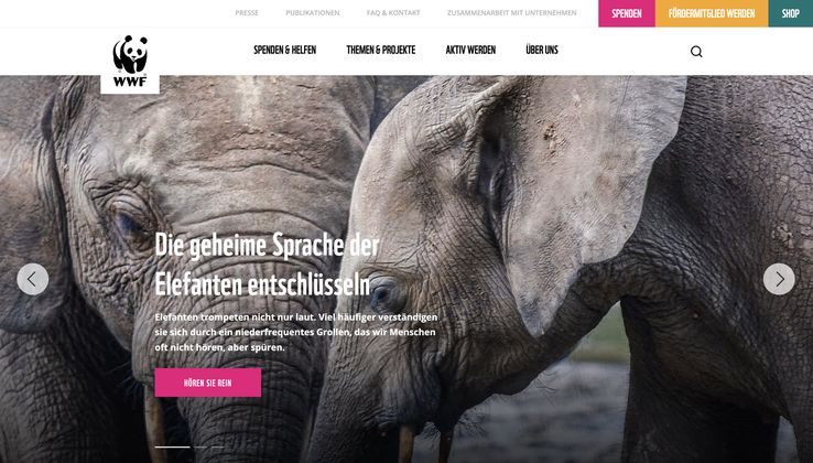 Nahaufnahme von zwei Elefanten