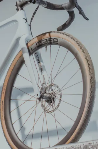 Schwalbe_Overview