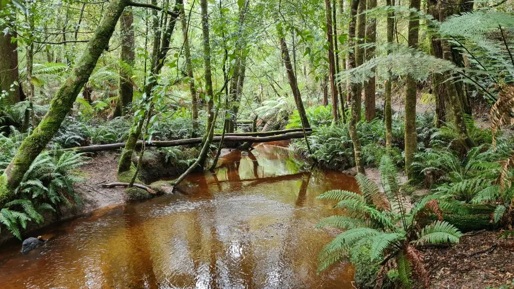 Tasmania Australia
