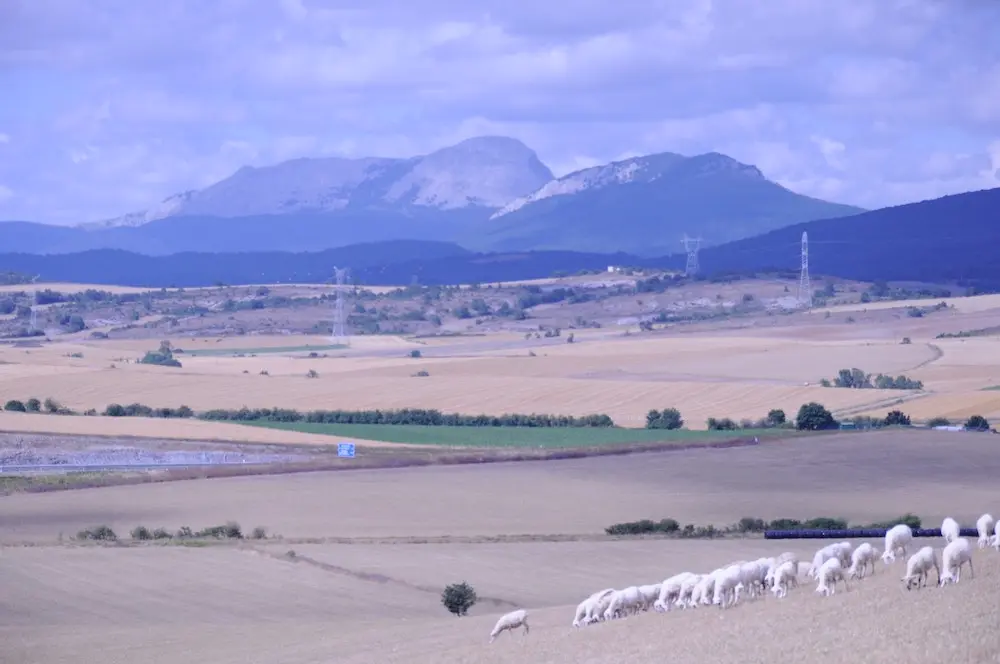 Agencias Viajes Vitoria Gasteiz Roxanna Lopez Piedrafuette Bldhkiragqu Unsplash