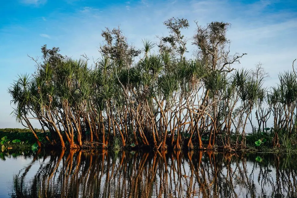 Kakadu National Parl Australia