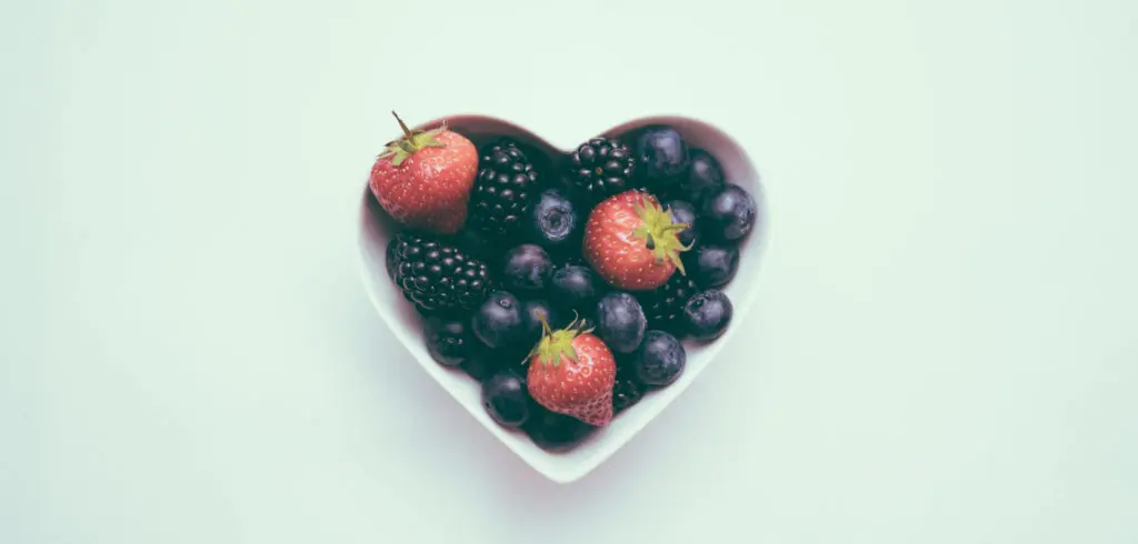 Wellness Programs Header 2 1024x490