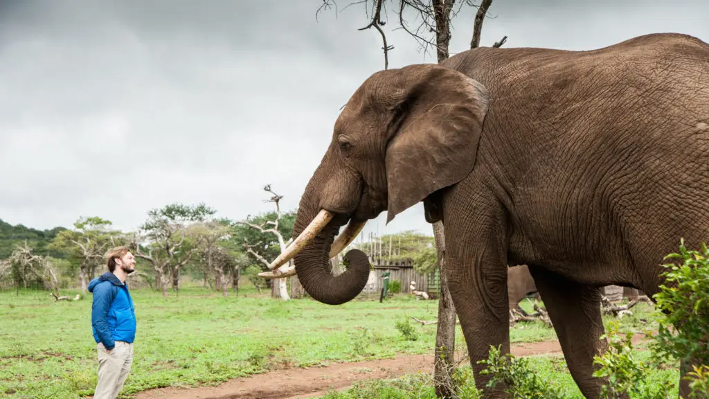 Eg South Africa 2016 1 9 1024x576