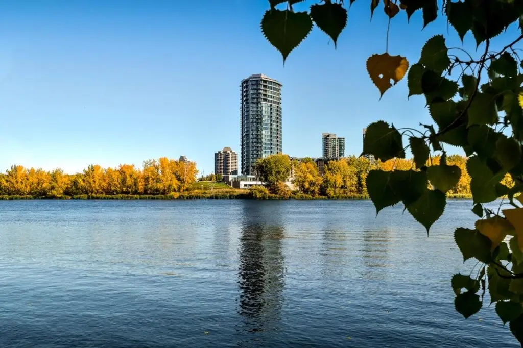 skyscraper on a river