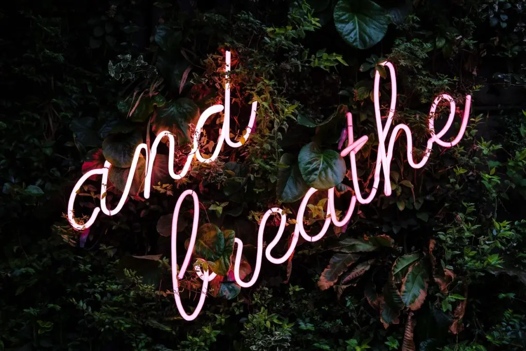 Valeriia Bugaiova Kd3bsvlguio Unsplash 1024x683