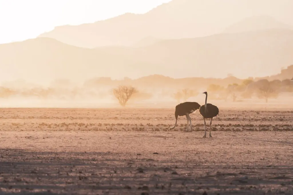 Eelco Bohtlingk 6dhyih6evrg Unsplash 1 1024x683