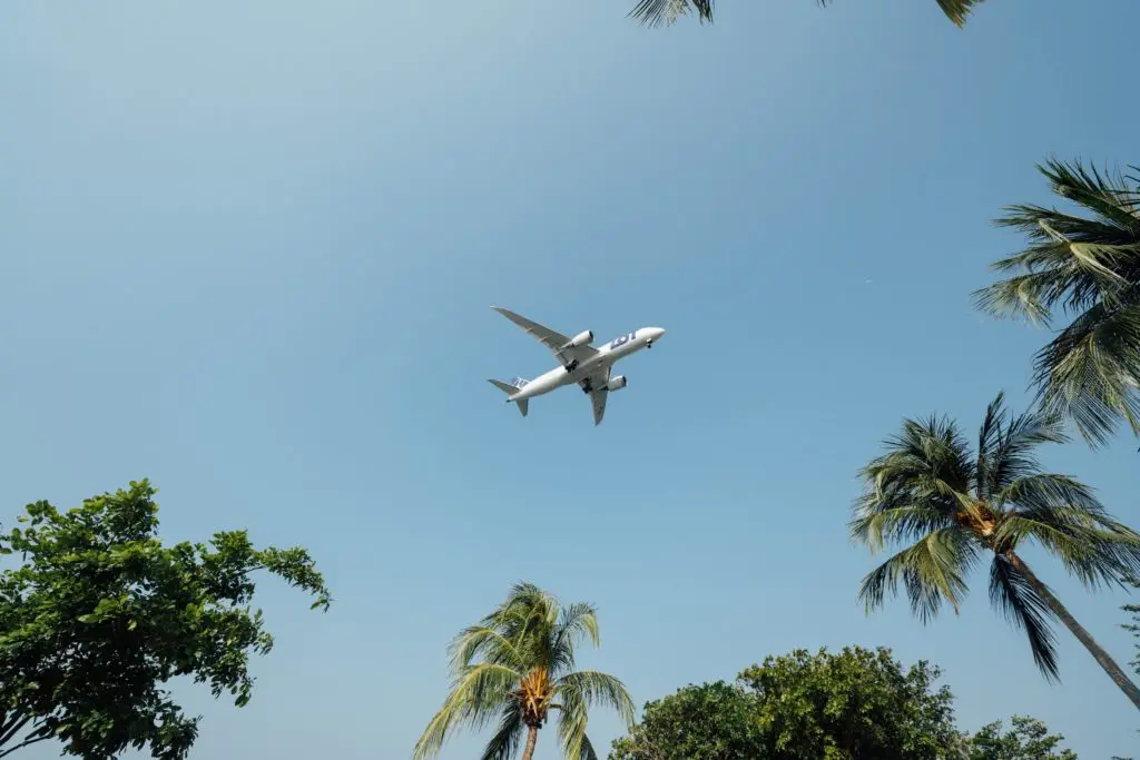 Hanson Lu Dosvjditjrq Unsplash 1024x683