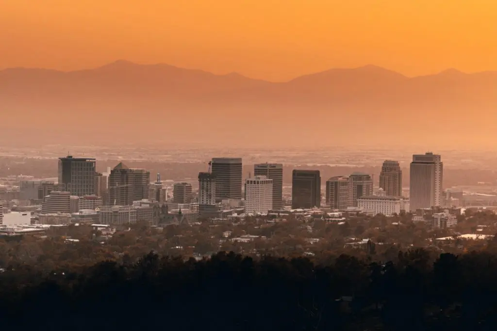 Saul Flores Kdm 2w2kzoa Unsplash 1024x683