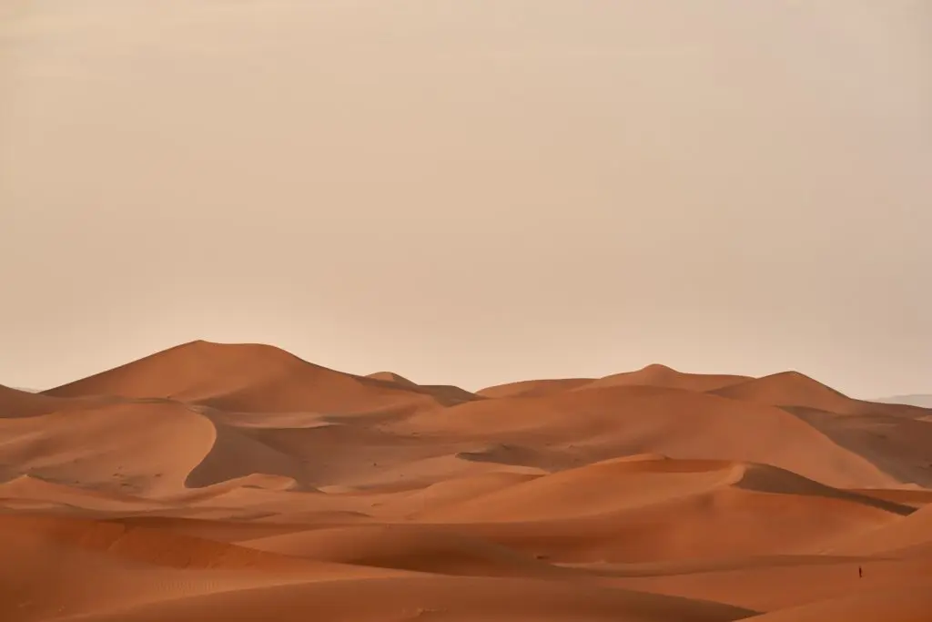 Wolfgang Hasselmann Pvr6wvunemk Unsplash 1024x683