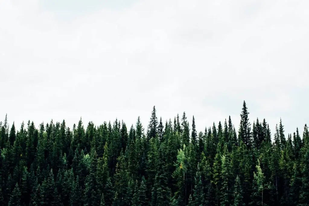 Michael Benz Iz2sgqkihm Unsplash 1 1 1024x683